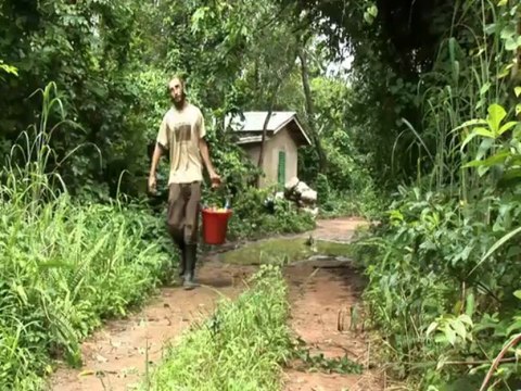 Teaser Projet Primates 2013