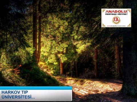 Ukrayna üniversiteleri Ukrayna üniversitesi Ukraynada eğitim Ukayna Eğitim Ukrayna Üniversiteleri Ukrayna Üniversiteleri