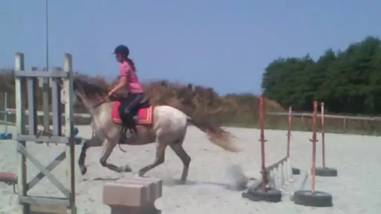 Ceniza saut 2