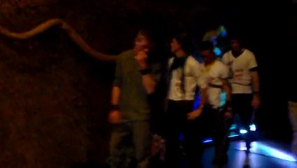 FESTINORD  2013 JUNGLE DANCE LDS URBAN DANCE CO,