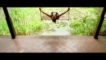 Jism 2 Yeh Jism Song  Sunny Leone, Arunnoday Singh, Randeep Hooda  Exclusive Uncensored Video