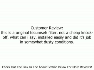 Tecumseh 35066 Air Filter Review