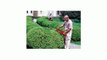 Mantis DEHT24 24-Inch 4.5 Amp Electric Double Edge Heavy Duty Hedge Trimmer Review
