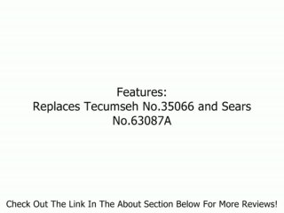 Arnold/Tecumseh TAF-121 Air Filter Craftsman No.35066/63087A Review