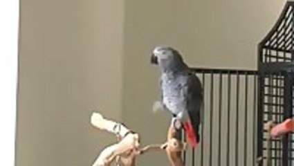 Always Look on the Bright Side of Life