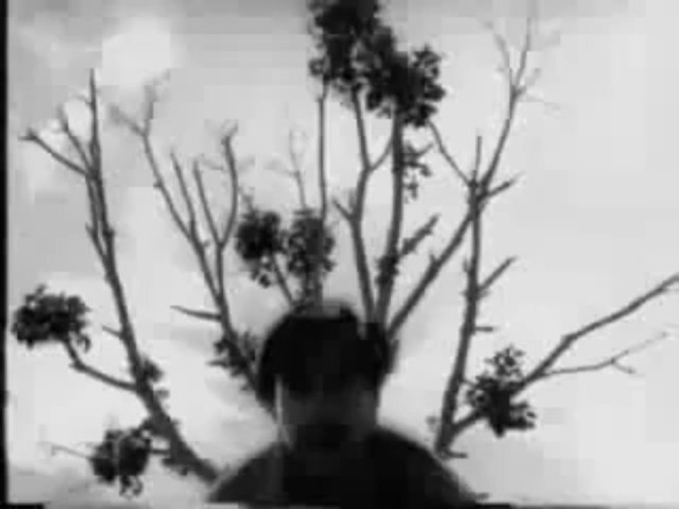 Bindya - Main Apne Aapse Ghabra Gaya Hoon - Mohammad Rafi -  (1960)