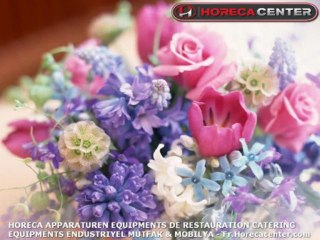 Chaise Definition Pronunciation