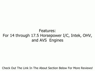 Briggs & Stratton 5078K Air Filter Premium Els 14-17.5 HP Review