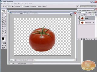 Adobe CS TUT VID-04 aboutBrushesYT