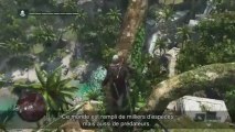 Assassin s Creed IV Black Flag - Vidéo de gameplay - Exploration Navale [FR]