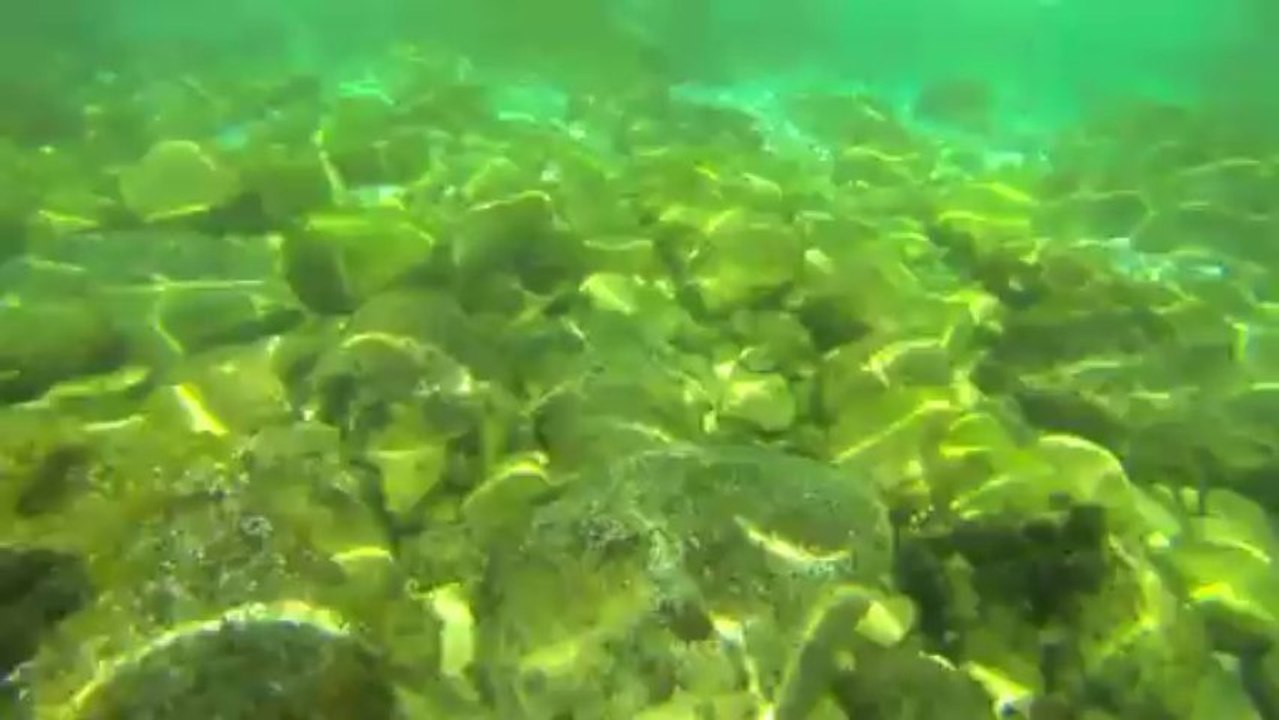 Niollon juillet 2013