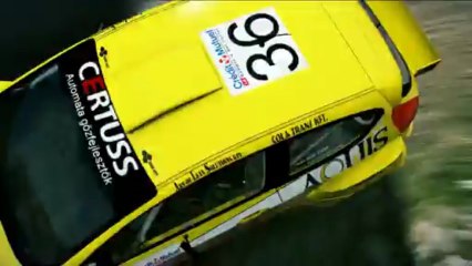 WRC 3 Ollé Sasa Ford Fiesta Custom livery