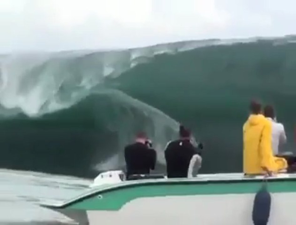 Ocean survivors-Amazing video