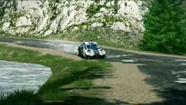 WRC 3 Hayden Padden Custom Livery