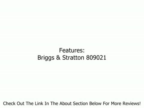 Briggs & Stratton 809021 Carburetor Overhaul Kit Review