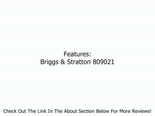 Briggs & Stratton 809021 Carburetor Overhaul Kit Review