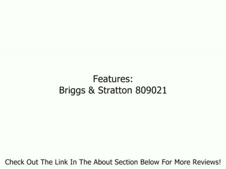 Briggs & Stratton 809021 Carburetor Overhaul Kit Review