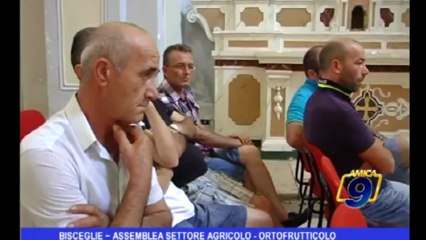 Bisceglie | Assemblea settore agricolo Ortofrutticolo
