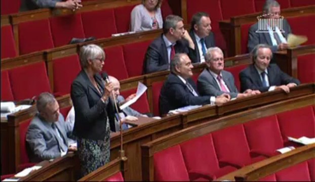Véronique Massonneau - Explication de vote sur la Motion de rejet préalable - Recherche embryonnaire