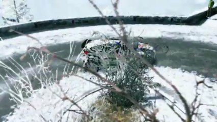 WRC 3 F. Delecour Visit Romania Custom Livery