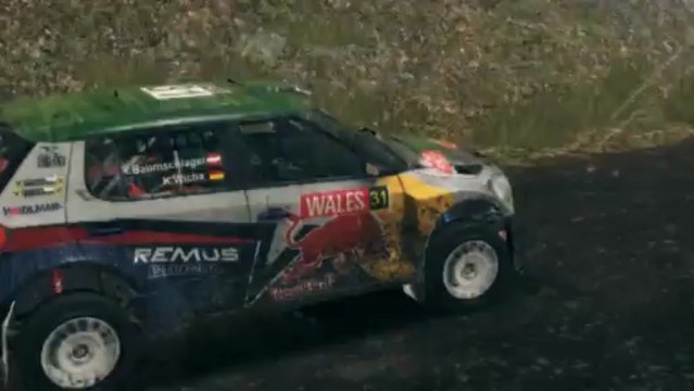 WRC 3 PC Custom Livery - Baumschlager Fabia S2000