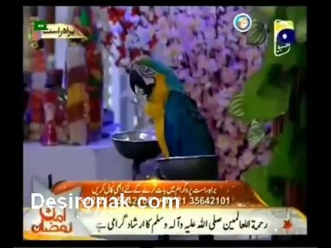 Amaan Ramazan with Dr.Aamir Liaquat By Geo TV (Saher) - 11th July 2013 - Part 2