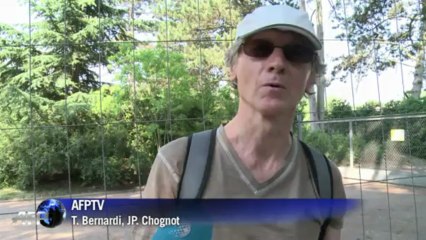 Les éléphantes Baby et Népal quittent le zoo de Lyon