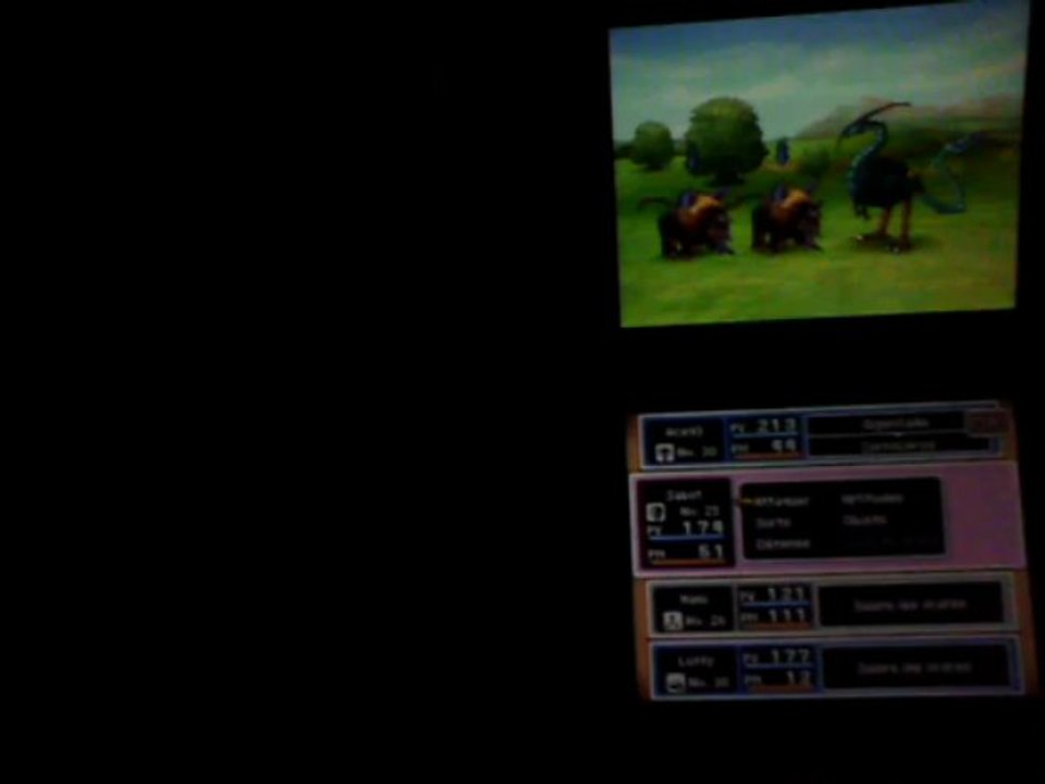 mon equipe dragon quest 9
