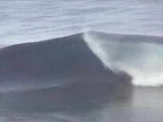 alain psu bodyboarding ,le Port