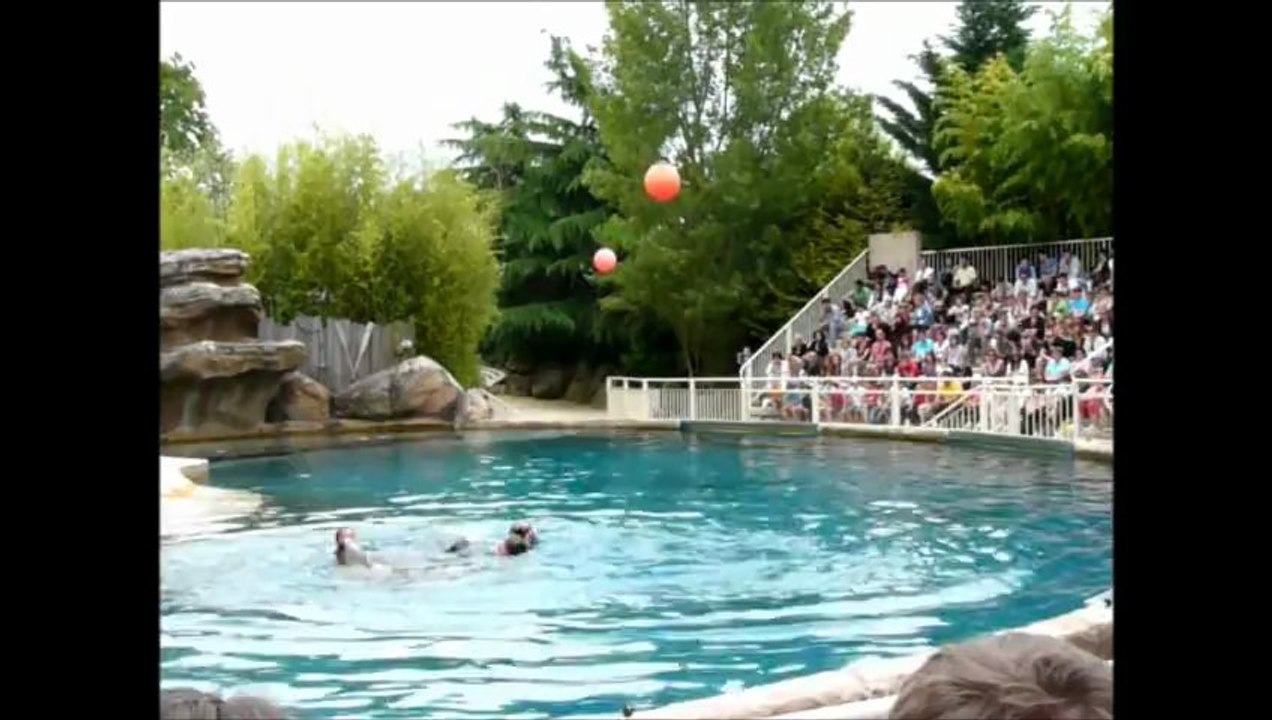 Spectacle des otaries au Pal - 4 juillet 2013