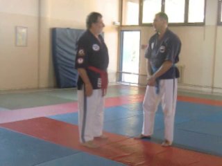 Travail sur les pensées collectives et les phénomènes de foule