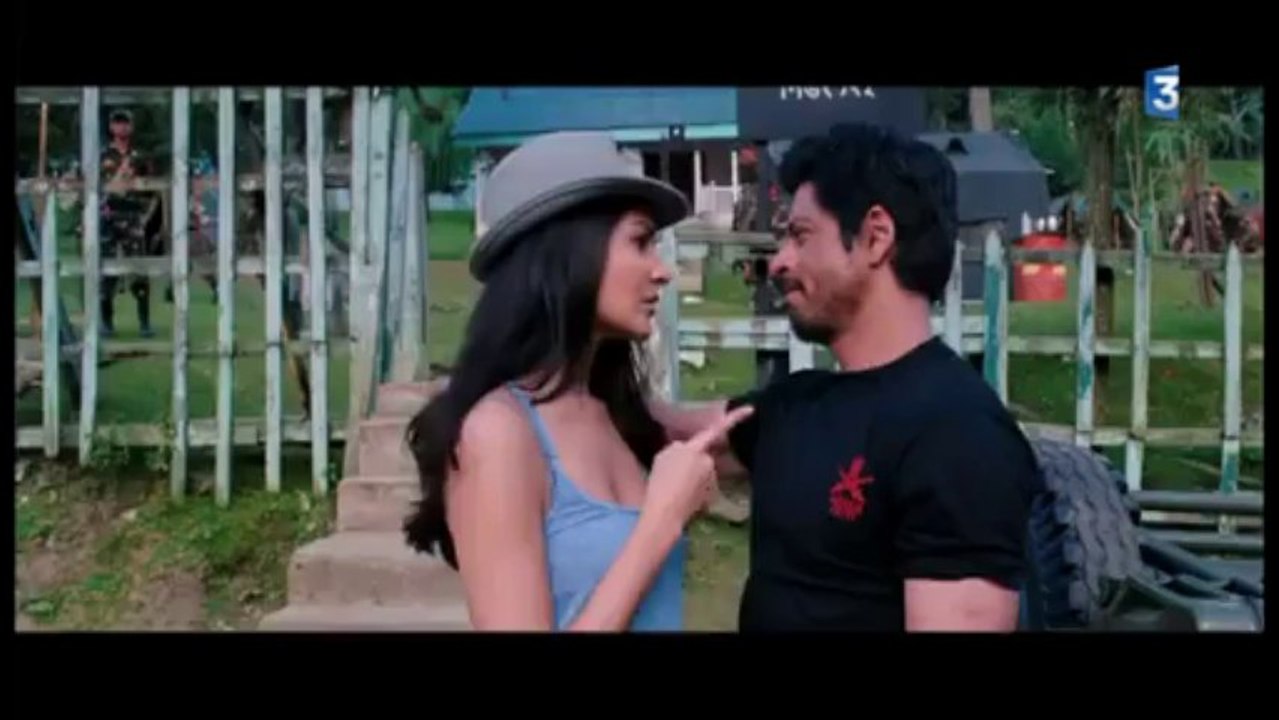 France 3 Pays de La Loire - 27 mars 2013 @Bollycine