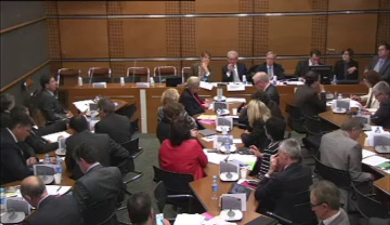 29 mai 2013, Bertrand Pancher auditionne en commission de développement durable Madame Karine Foucher, Maître de conférence, sur les questions prioritaires de constitutionnalité et le droit de l'environnement