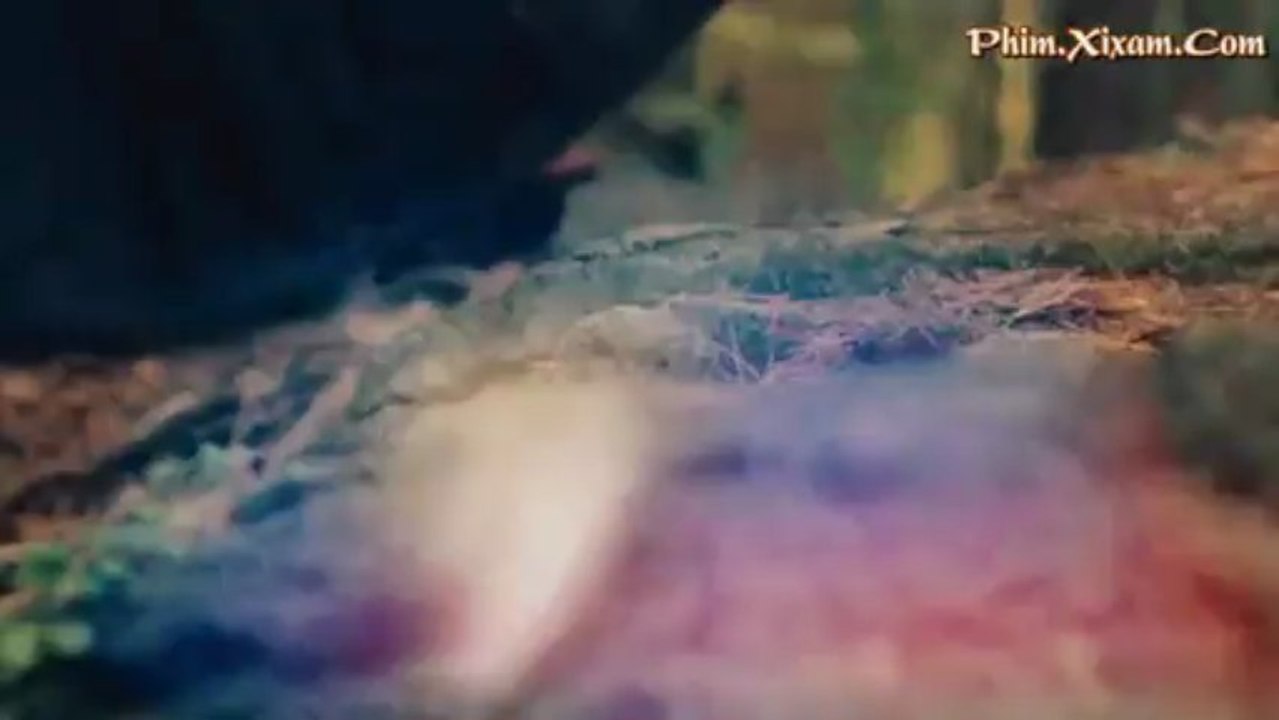 QuyDu_clip1