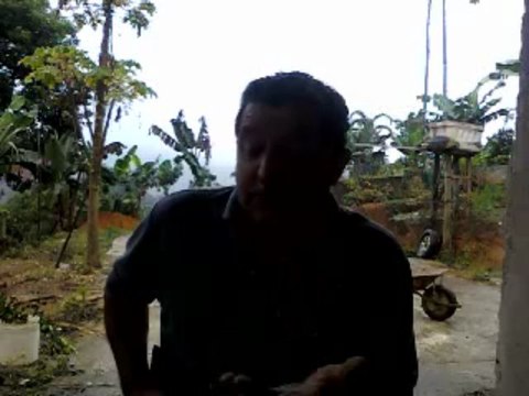 JAVÉ SERÁ TERRIVEL COM OS ATIVISTAS GAY - VALDEMIR MOTA DE MENEZES