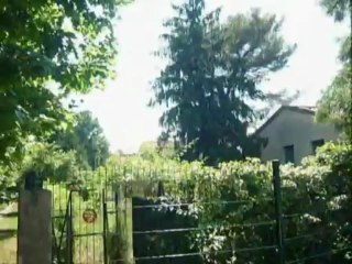 Balade au parc Montcalm à Montpellier