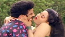 Donga Ramadu Song- Ammamm ammamma - Balakrishna, Radha