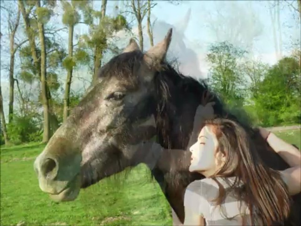 Véga - 1 année ensemble