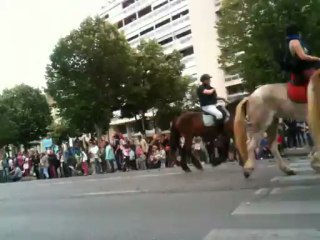 Transhumance du 09 juin 2013 à Marseille