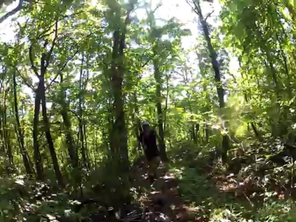 chute de Ben