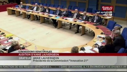 Audition - Anne Lauvergeon présidente de la commission innovation 2030