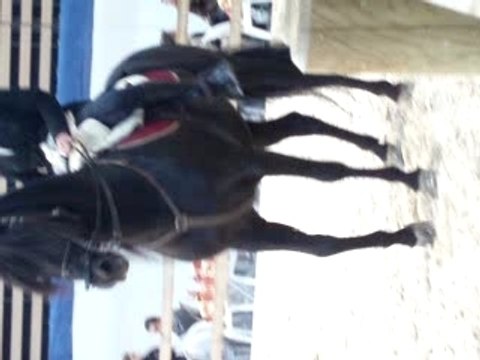 Artista déplacement latéral galop