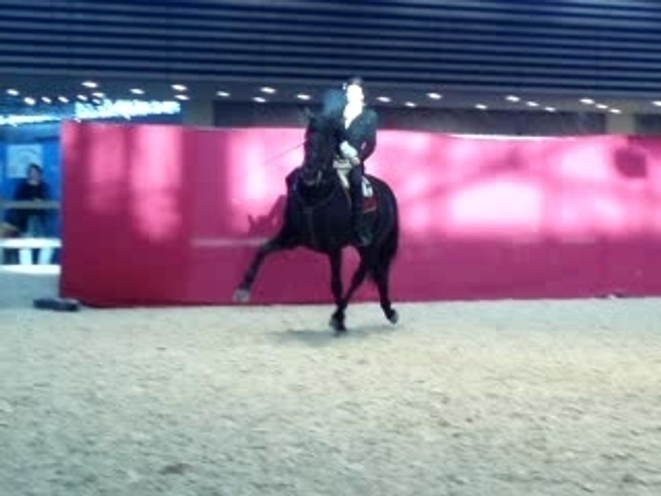 Artista trot espagnol - équita'lyon