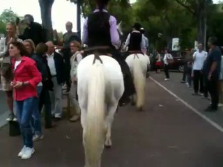 Transhumance du 09 juin 2013 à Marseille