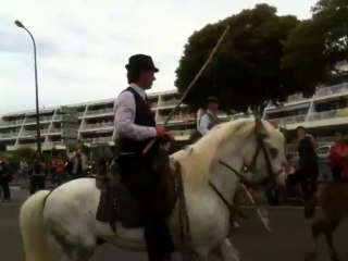 Transhumance du 09 juin 2013 à Marseille