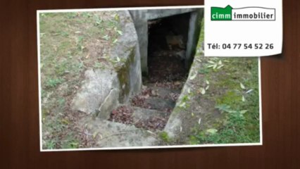 VEAUCHE VENTE MAISON 3 CHAMBRES