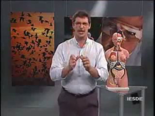 BIOLOGIA AULA 13 -- TECIDO CONJUNTIVO Parte 3  - YouTube