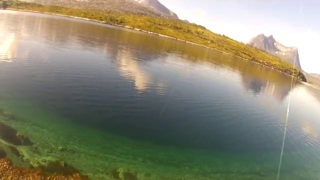 Pêche Morue (Skrei - Cod) en Norvège, environ 1kg, relachée car trop petite