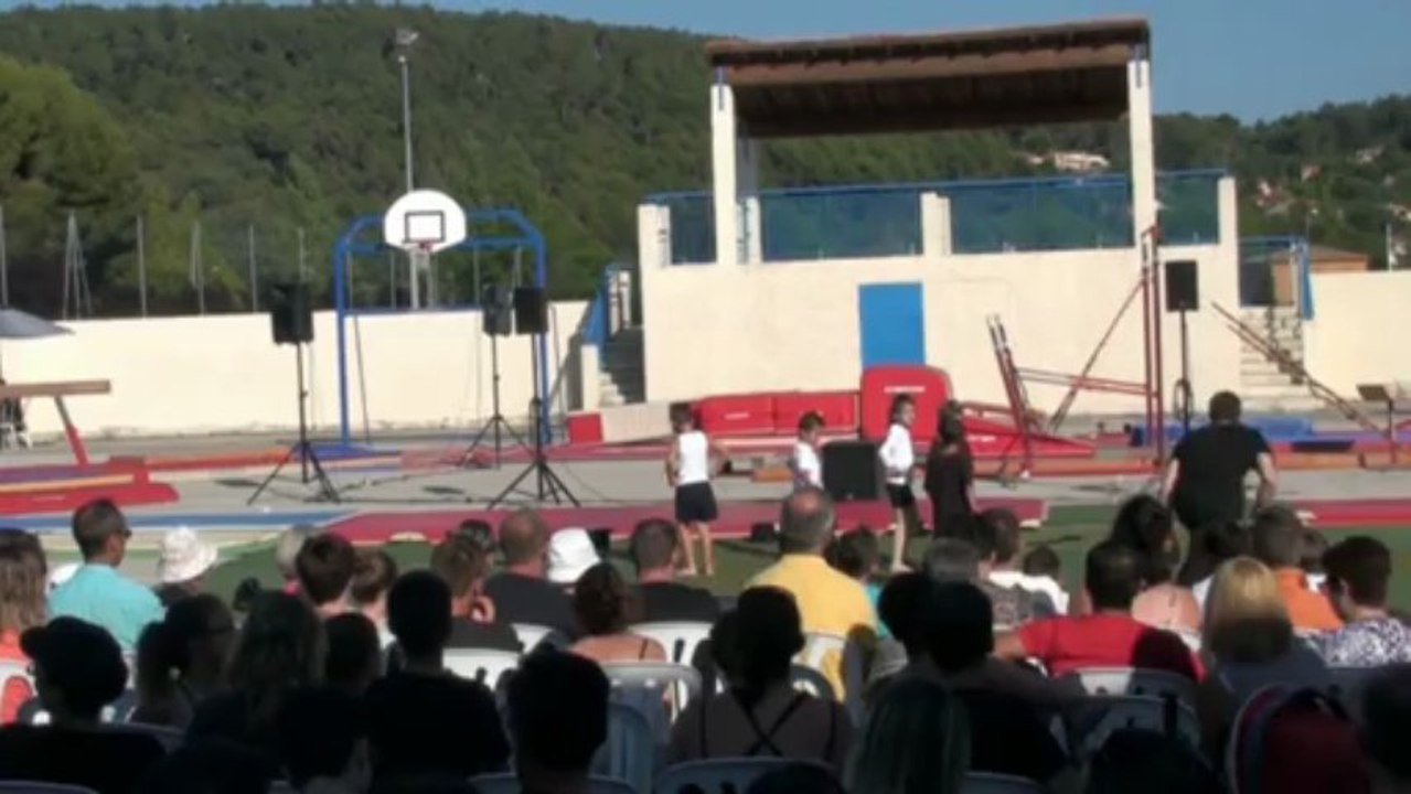 Groupe pré-poussins et pré-poussines Gala 2013 : Charlie Chaplin