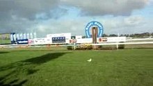 Geelong Cup winner!